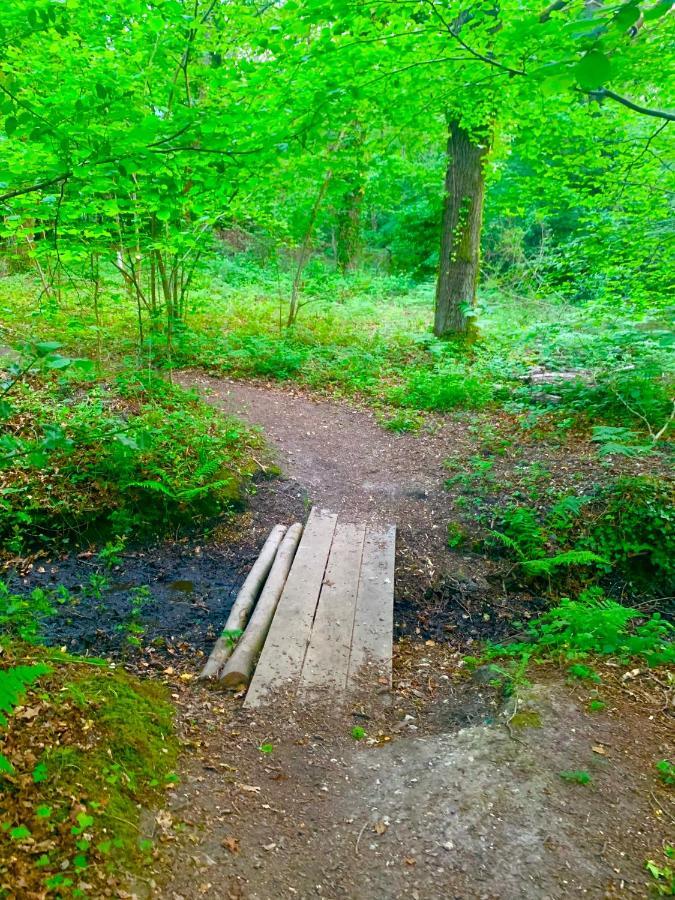 Forest Beach Bashley Park Sway Eksteriør billede