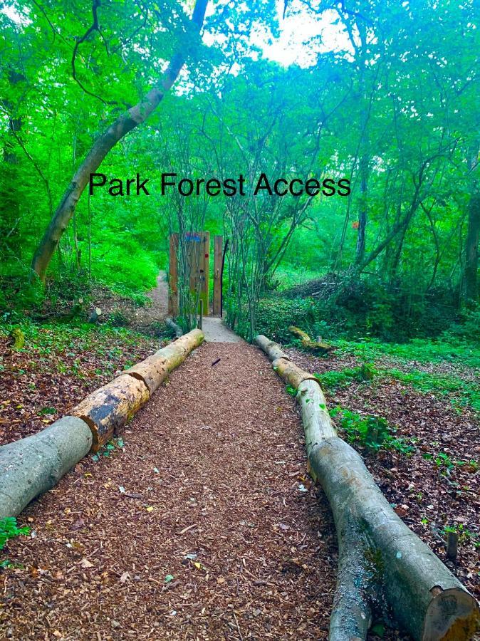 Forest Beach Bashley Park Sway Eksteriør billede