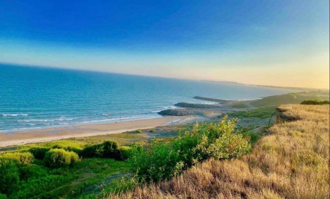 Forest Beach Bashley Park Sway Eksteriør billede