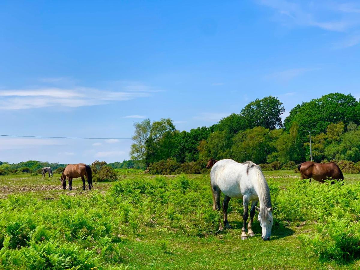 Forest Beach Bashley Park Sway Eksteriør billede